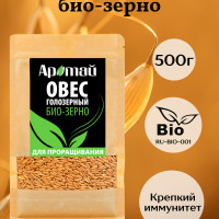 Овес голозерный, био зерно, для проращивания, крупа, фермерский, продукты питания, микрозелень 500г