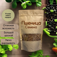 Пшеница семена для проращивания 100г