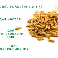 Овёс для проращивания голозёрный  кг