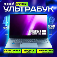 15.6" Ноутбук PapkaS 15,6, Intel Celeron J4125 (2.0 ГГц), RAM 12 ГБ, SSD 256 ГБ, Intel UHD Graphics 600, Windows Pro, серебристый, Российская клавиатура