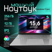 15.6" Ноутбук PapkaS 15., Intel Celeron J4125 (2.0 ГГц), RAM 12 ГБ, SSD 256 ГБ, Intel UHD Graphics 600, Windows Pro, серебристый, Российская клавиатура