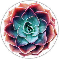 Коврик для мыши (20 x 20 см x 3 мм)