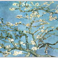 Коврик для мыши (24 x 20 см x 3 мм)