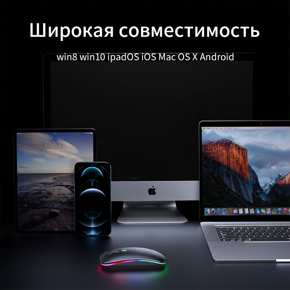 Текстовое описание изображения