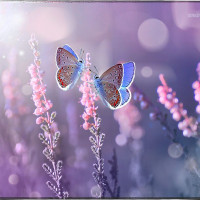 Коврик для мыши Smartbuy Summer S-size (SBMP-109-SM)