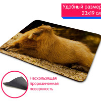 коврик для мыши Капибара