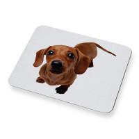 Коврик для мыши Сувенириус 166Животные/собака, M, разноцветный