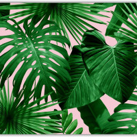 Коврик для мыши "Листья монстеры" (24 x 20 см x 3 мм)