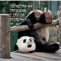 Игровой коврик для мыши BjK КМ4045RLV, разноцветный