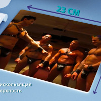 Игровой коврик для мыши Freesub Гачимучи (Все персонажи), L, разноцветный