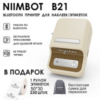 Принтер для наклеек/этикеток термо NIIMBOT B21 Принтер этикеток портативный портативный Bluetooth