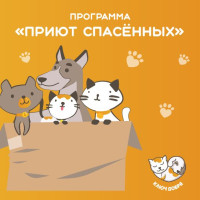 Благотворительный сертификат БФ "Ключ Добра"