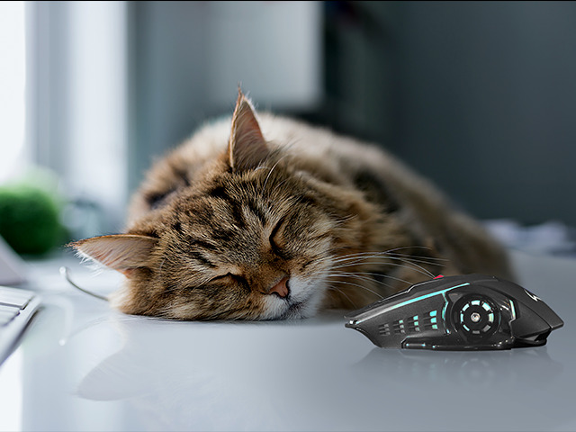 Текст при отключенной в браузере загрузке изображений