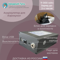 Аккумулятор для надувных ростовых кукол, 12V, 2A