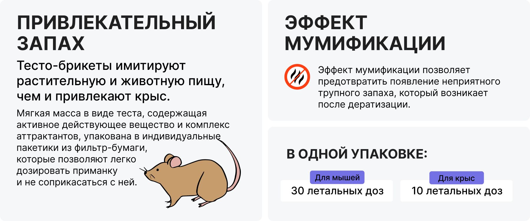 Текстовое описание изображения