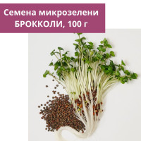 Семена микрозелени БРОККОЛИ 100 г, сорт Рапини, зрелость через 7-8 дней