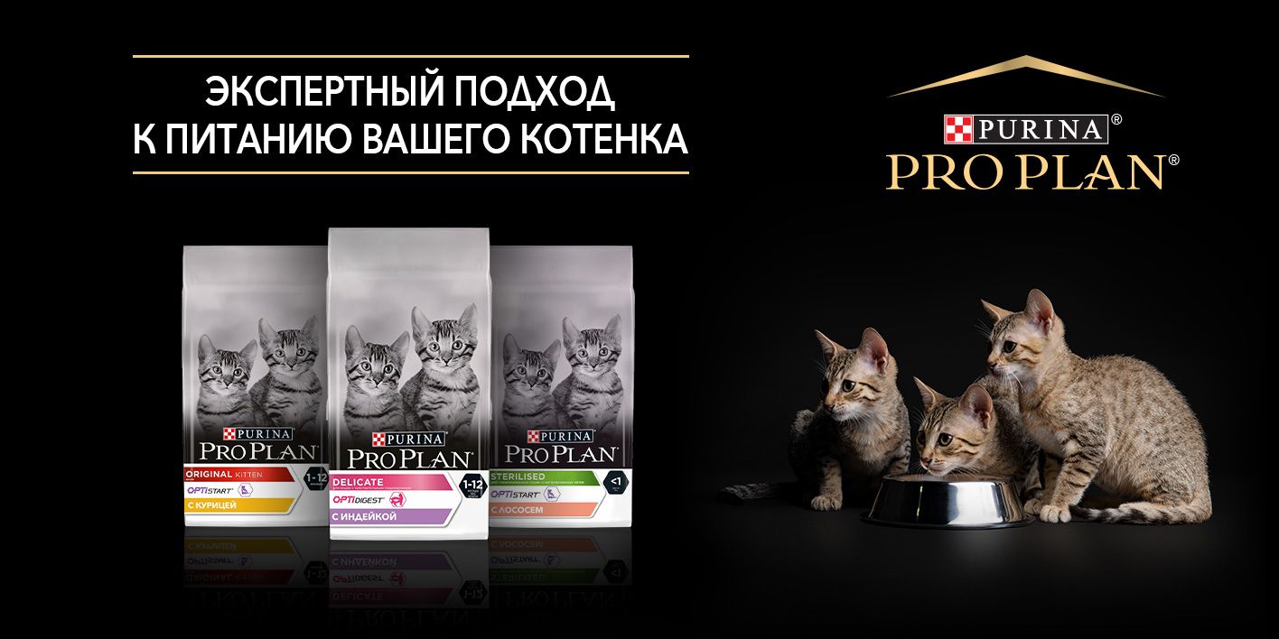 Purina ProPlan Kitten