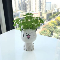 Керамический цветочный горшок в форме мини кошки, мультяшное милое растение в горшке, настольное выражение кошки, растение, горшок для украшения стола, маленькое украшение