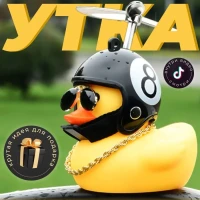 Уточка в машину в шлеме