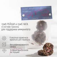 Гранола шоколадная c адаптогенами рейши и чага "REISHI CHAGA GRANOLA"