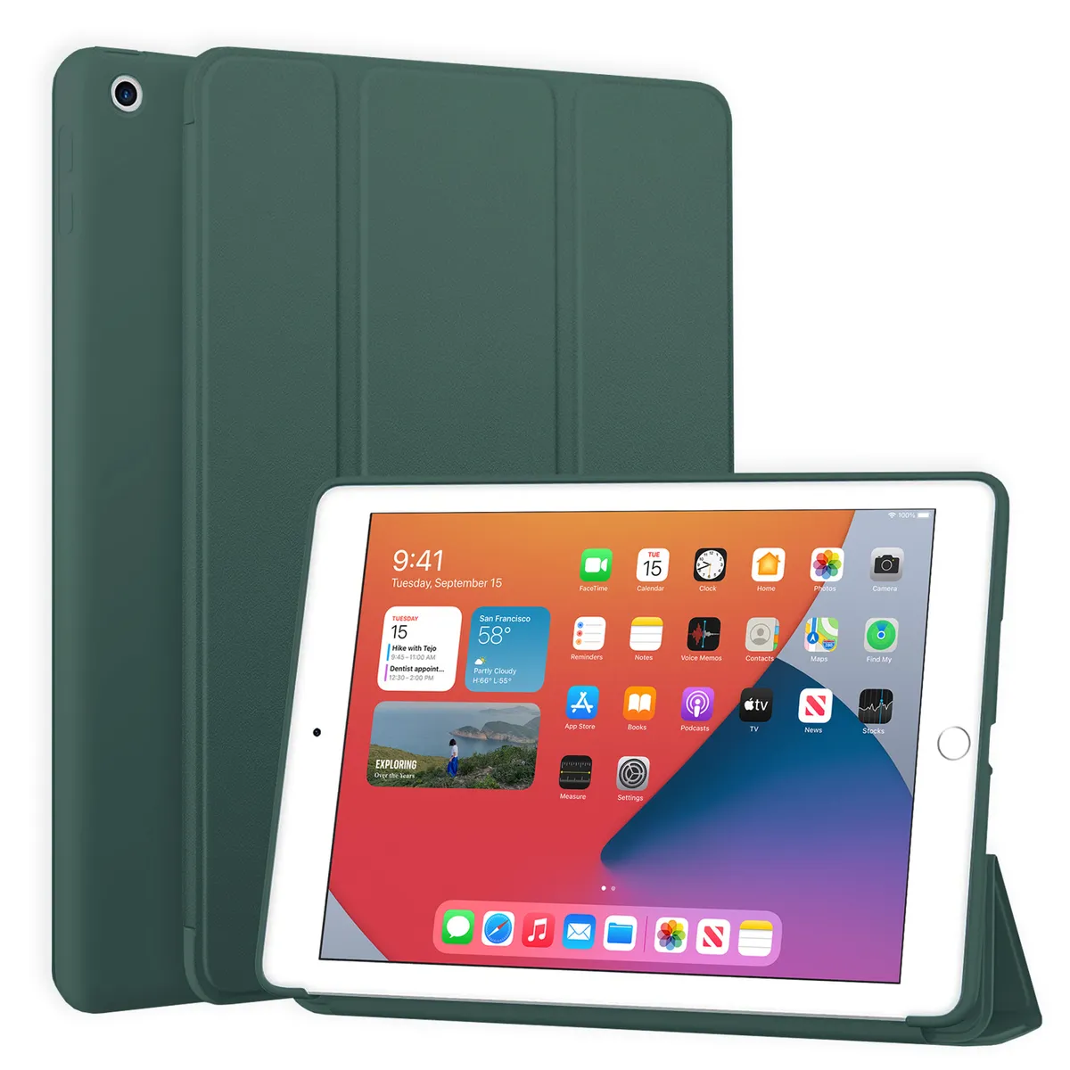 Сосновый лес (Pine Green), чехол для iPad 10.2