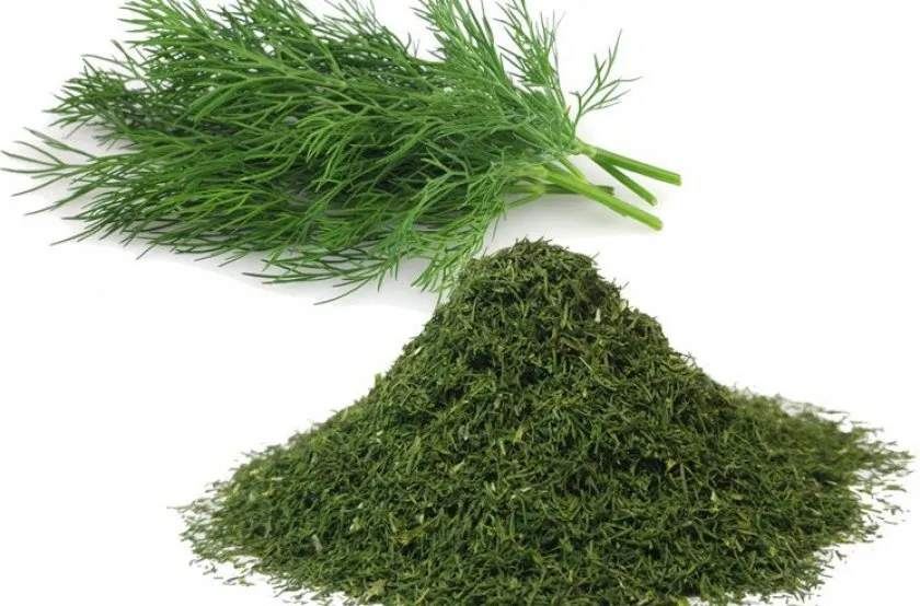 Текст при отключенной в браузере загрузке изображений