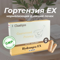 Hydrangea EX Santegra - Гортензия, 300 мг. БАД для почек и от камней в почках, 30 капсул