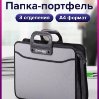 Папка/сумка/портфель для документов А4