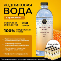 Питьевая родниковая природная минеральная детокс вода с прополисом Dr.BEES Propolis water 12 штук по 0,5 л