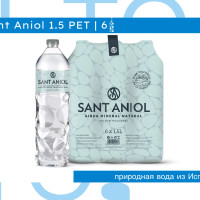 Вода минеральная Sant Aniol (Сант Аниол) 6 шт по 1,5 л, негазированная, пэт