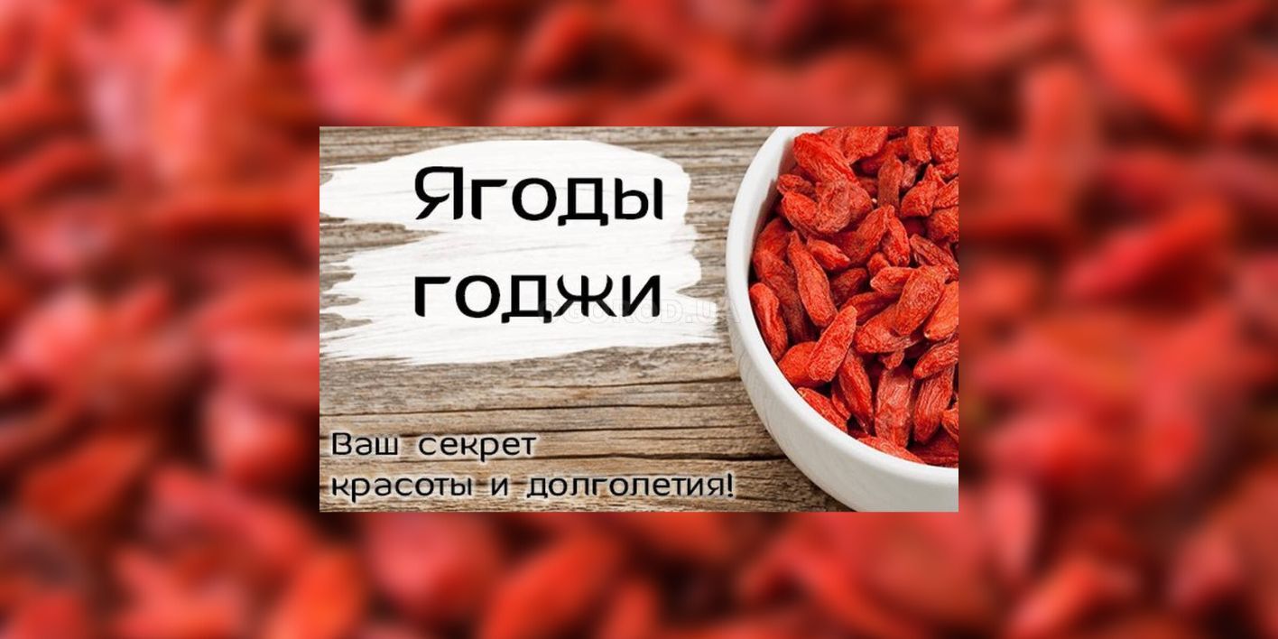 Текстовое описание изображения