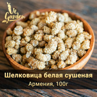 Шелковица сушеная белая (Тутовник), без сахара, 100 гр. Сухофрукты VeGarden. ПП сладость, источник витаминов и клетчатки.