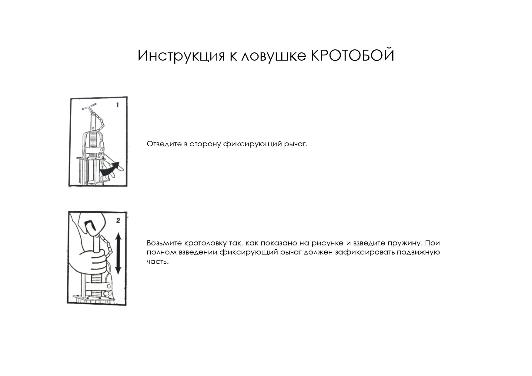 Текстовое описание изображения