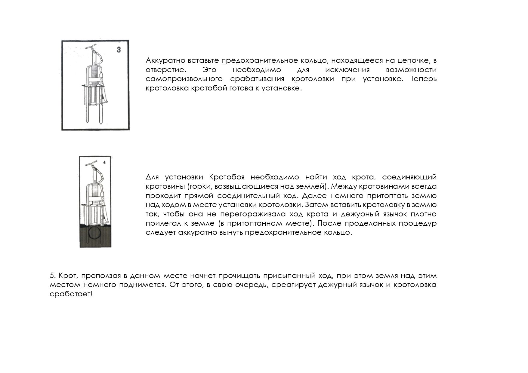 Текстовое описание изображения