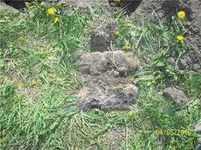 Текст при отключенной в браузере загрузке изображений