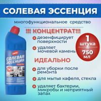 Ewig, Солевая эссенция (КОНЦЕНТРАТ), Очиститель для унитаза 750мл