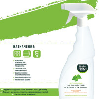 Экологичный чистящий спрей от налета и ржавчины 5 штук по 500мл Master FRESH
