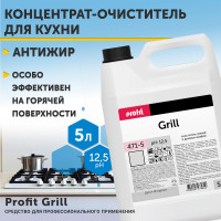 Антижир для кухни PROFIT GRILL Pro-brite professional от жира и нагара для плиты, духовки, для чистки сковородок 5 л.