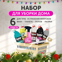 Набор средств для уборки дома Sanfor, 6 средств