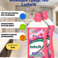 Универсальное моющее средство Ludwik (Людвик) Весенний сад  1 л, комплект 2шт.