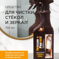 Очиститель для стекол и зеркал Iviclean Protect 750 мл