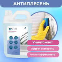 Средство для удаления и предотвращения плесени (Биомол КС-форте), EVOLITE HoReCa, 5л