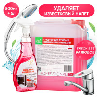 Набор Чистящее средство для ванной, душевых кабин, сантехники от известкового налета и ржавчины, без хлора CasPro, 5 литров + спрей 500 мл