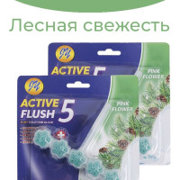 Освежитель для унитаза подвесной 2 шт. (шарики) 5 в 1, "Лесная свежесть"  /  Очиститель для туалета / Туалетный блок / Средство для чистки от налета