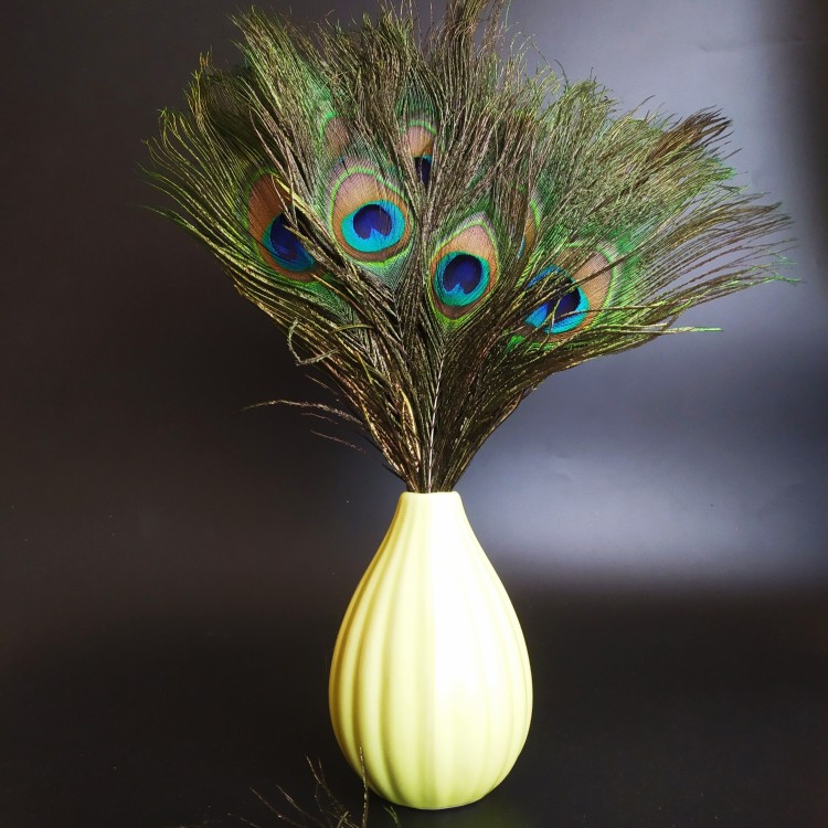 U817564dc8ba94ba5a2e1958ac9fb3b878