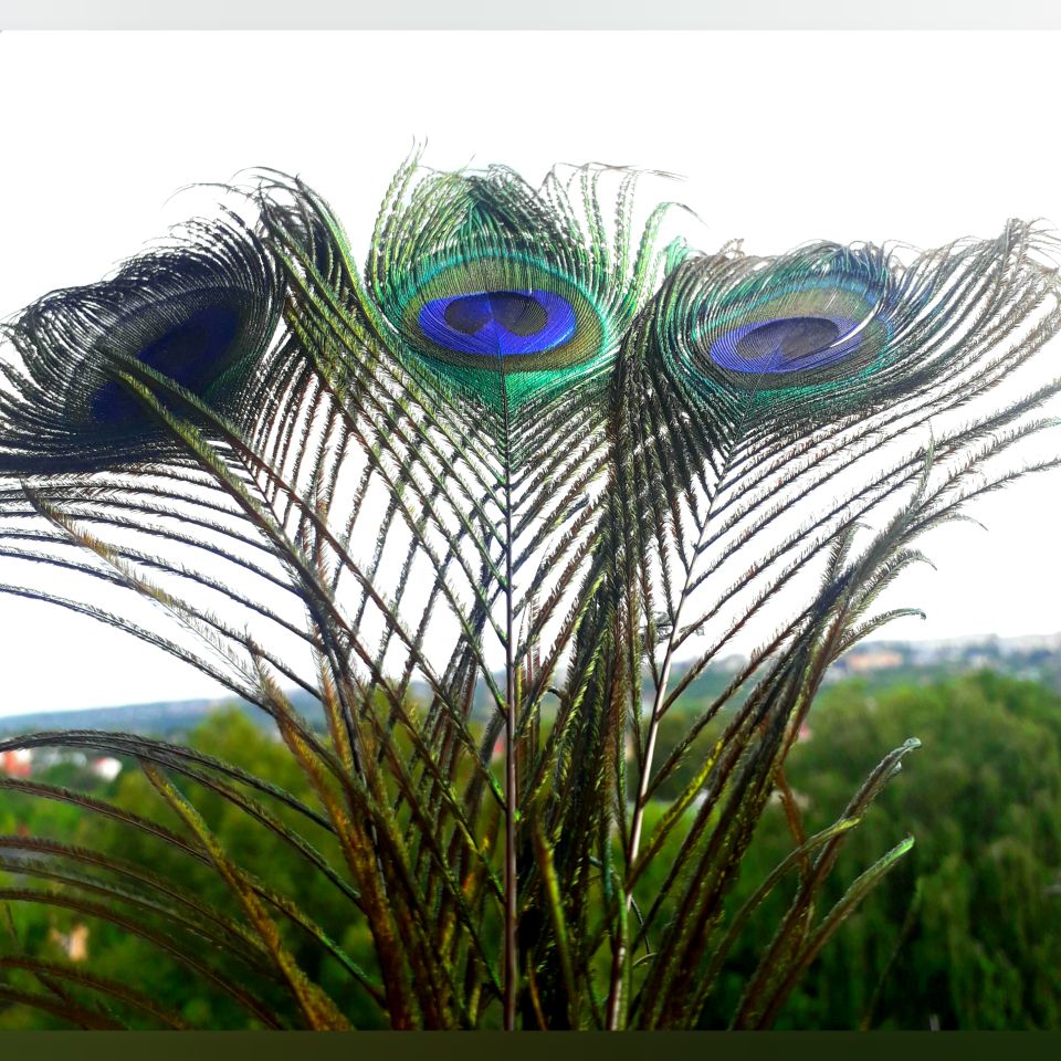 Ua47b14b3e3514836b4e163a2cd307299O