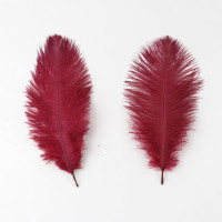 Перо страусиное, 15-20 см, 10 шт