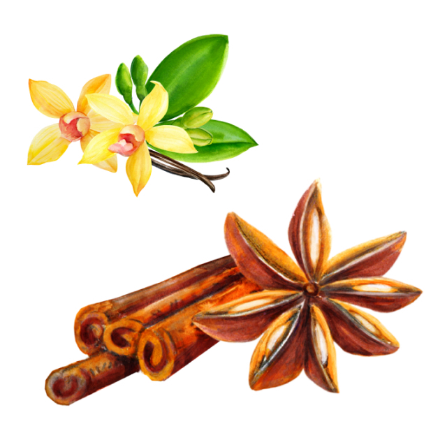 Текст при отключенной в браузере загрузке изображений