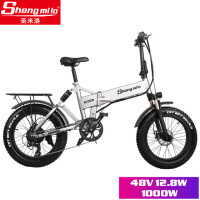Электрический велосипед на 4,0 толстых шинах, 20 дюймов, 48 В, литиевая батарея, 1000 Вт