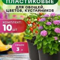 Горшки для рассады пластиковые